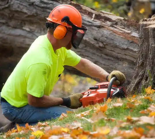 tree services Miamisburg